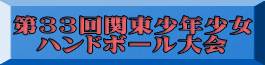第33回関東少年少女 ハンドボール大会 