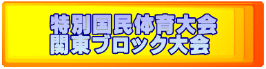 特別国民体育大会 関東ブロック大会